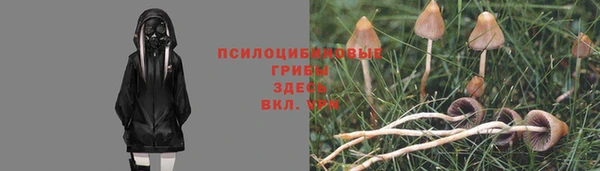 винт Арсеньев