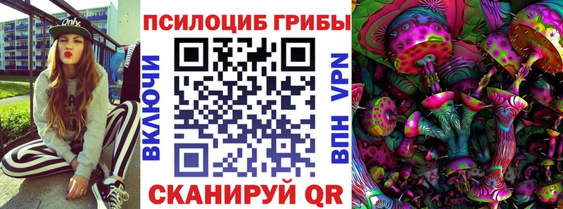 Галлюциногенные грибы Psilocybine cubensis Струнино